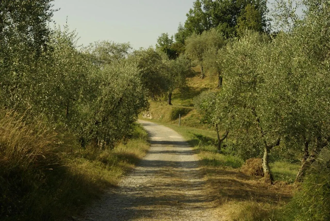 Aramo House location